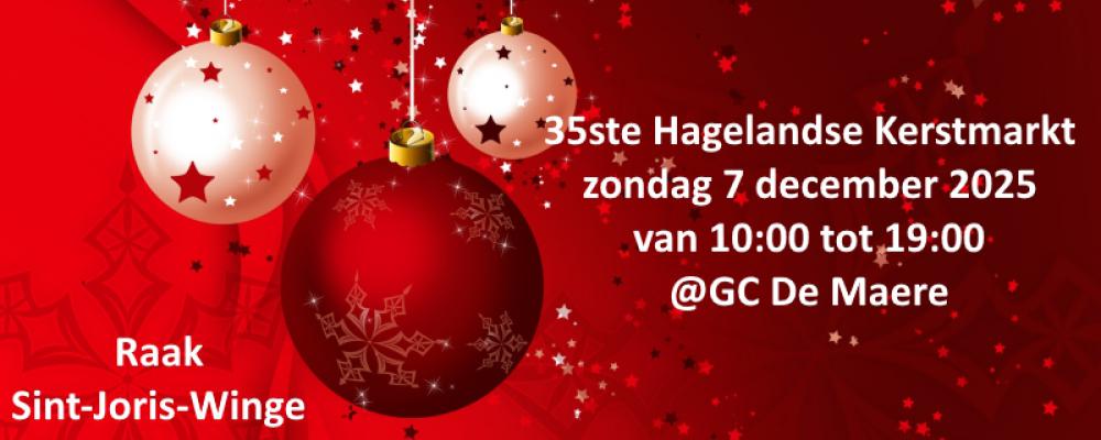 35ste Hageladse Kerstmarkt